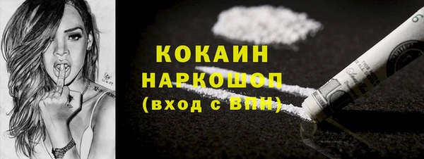 шишки Козельск
