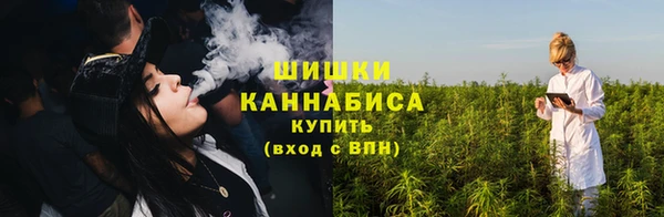 индика Корсаков