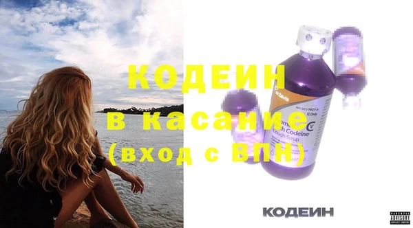 индика Корсаков