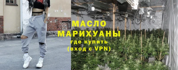 индика Корсаков