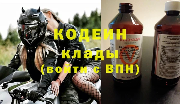 индика Корсаков