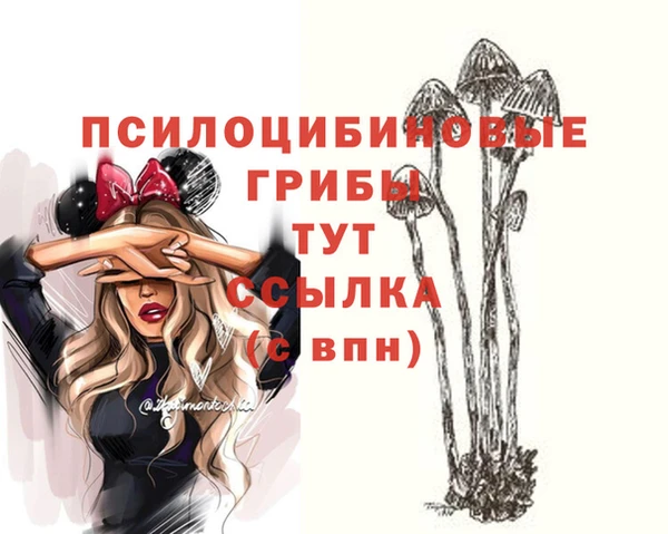гидра Костерёво