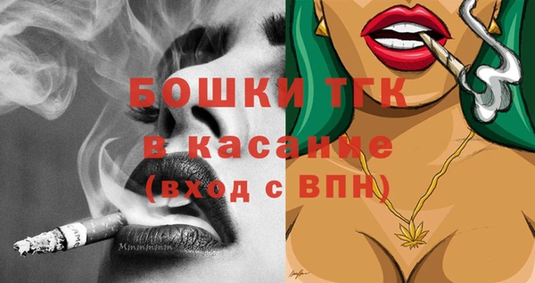 индика Корсаков
