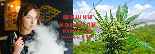 гидра Костерёво