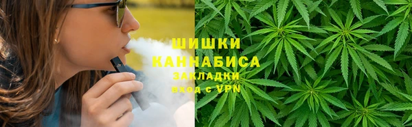гидра Костерёво