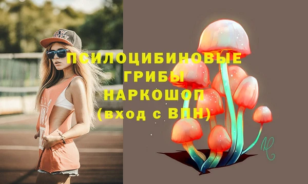 гидра Костерёво