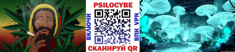 где можно купить   Чудово  Галлюциногенные грибы Psilocybe 